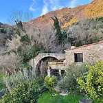 Olive Mill Terra Rossa