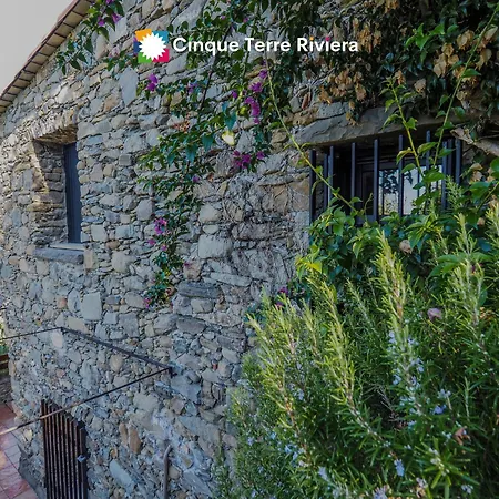 Olive Mill Terra Rossa
