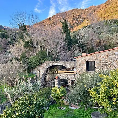 Olive Mill Terra Rossa